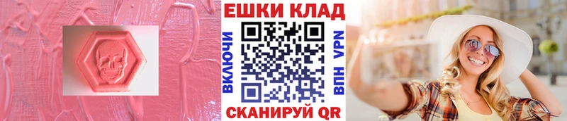 shop наркотические препараты  Новодвинск  Экстази Philipp Plein 