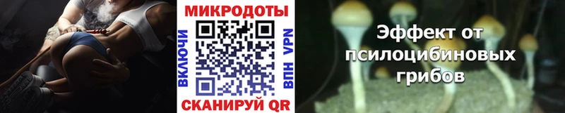 наркота  kraken маркетплейс  Псилоцибиновые грибы Magic Shrooms  Новодвинск 