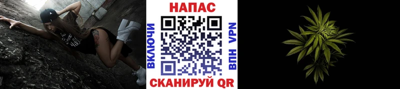 МАРИХУАНА план  Новодвинск 